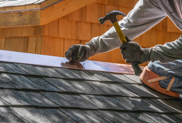 Best Roof Moss and Algae Removal  in Blytheville, AR