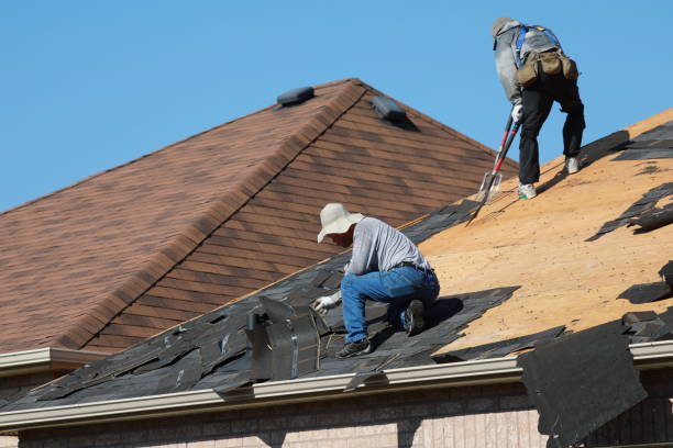 Best Solar Panel Roofing Installation  in Blytheville, AR