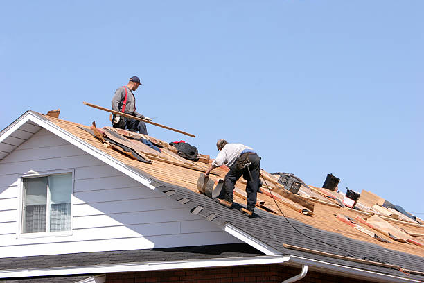 Best Metal Roofing Installation  in Blytheville, AR