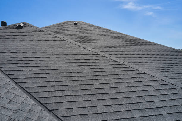 Best Roof Moss and Algae Removal  in Blytheville, AR